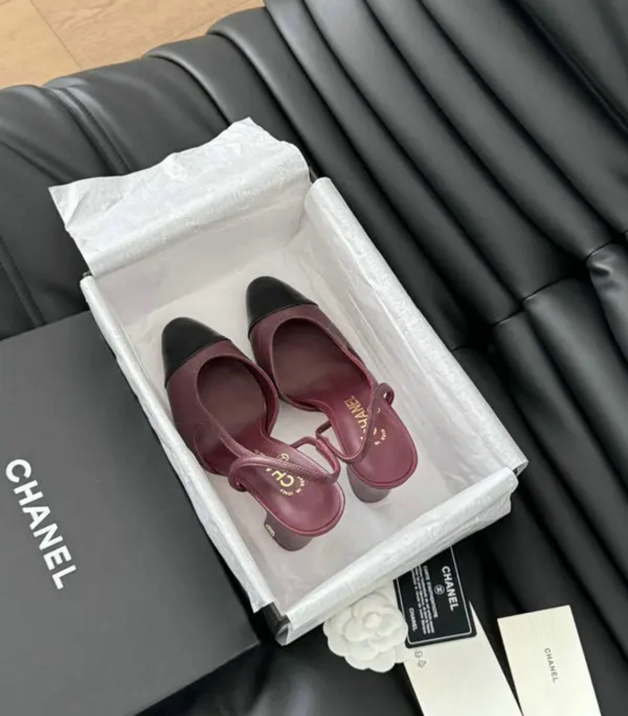 CC Pumps