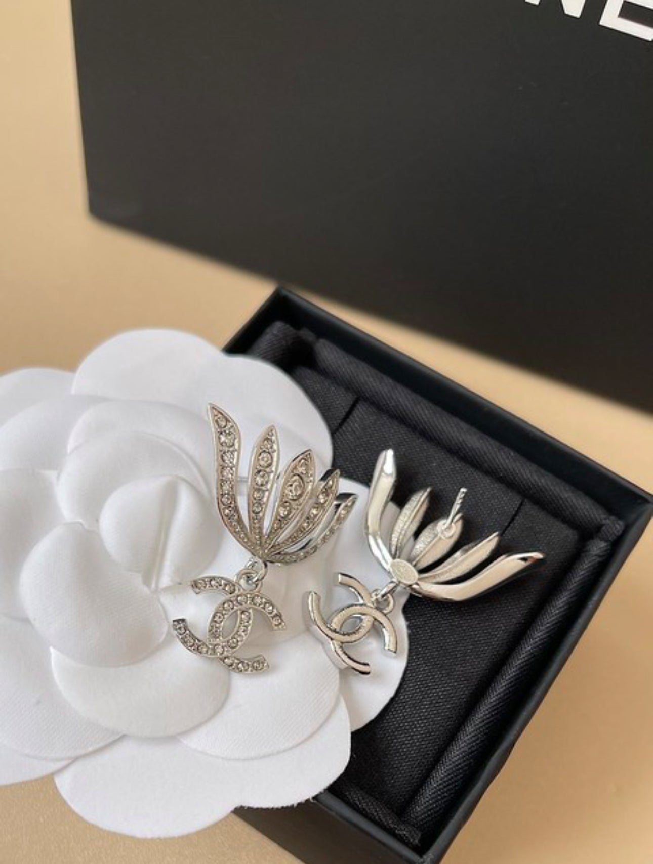 CC Earrings