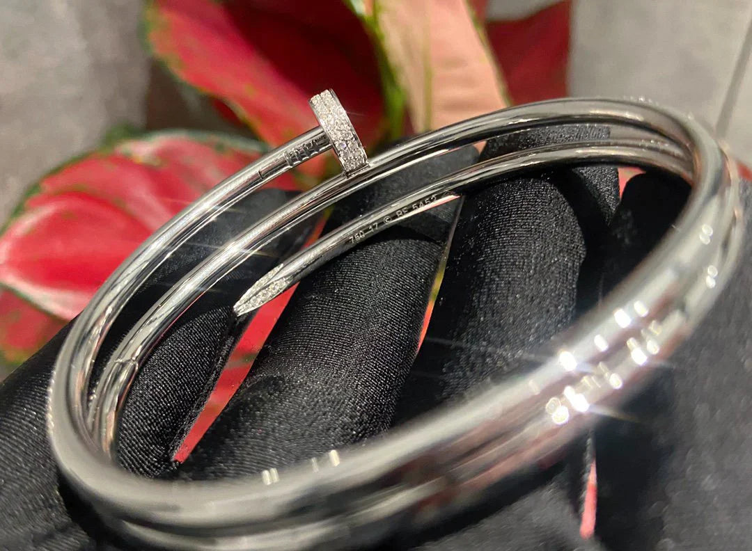 Juste Un Clou Double Bangle