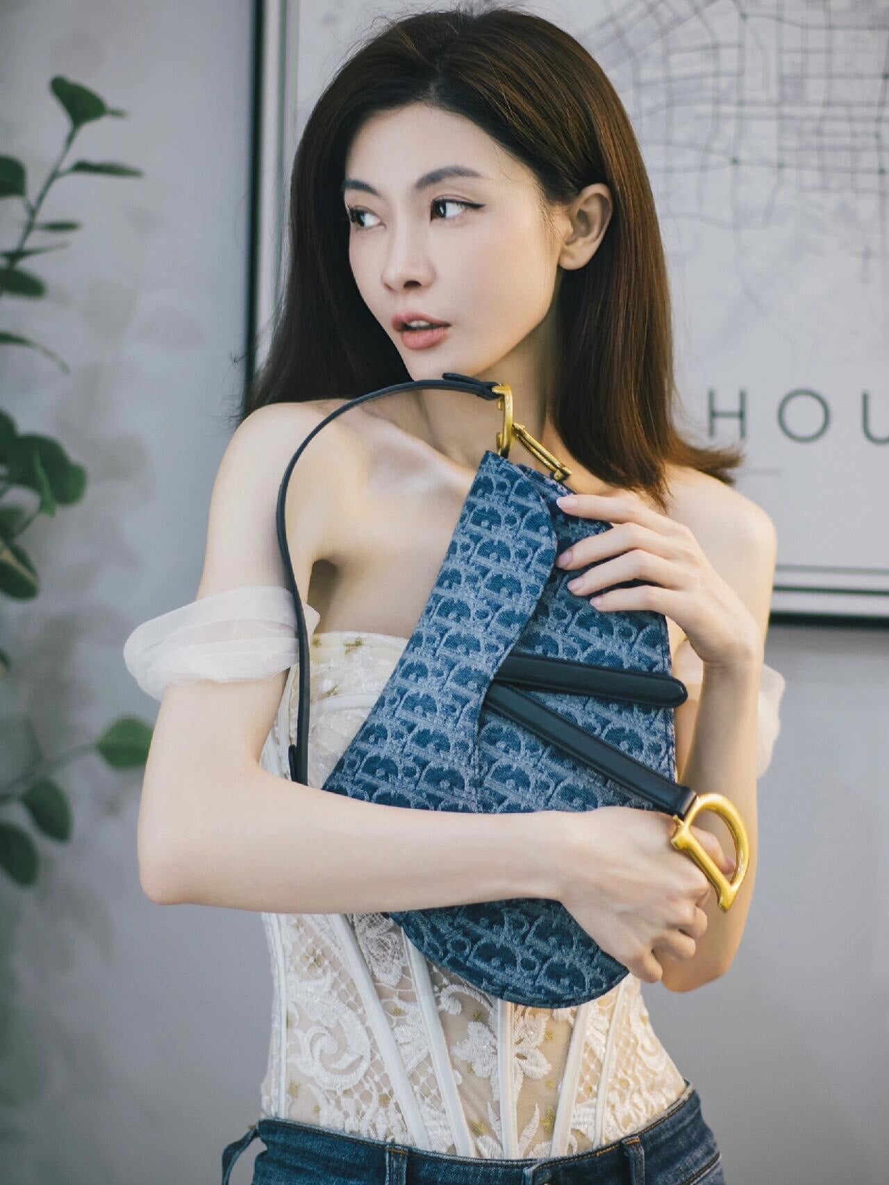 Saddle Bag