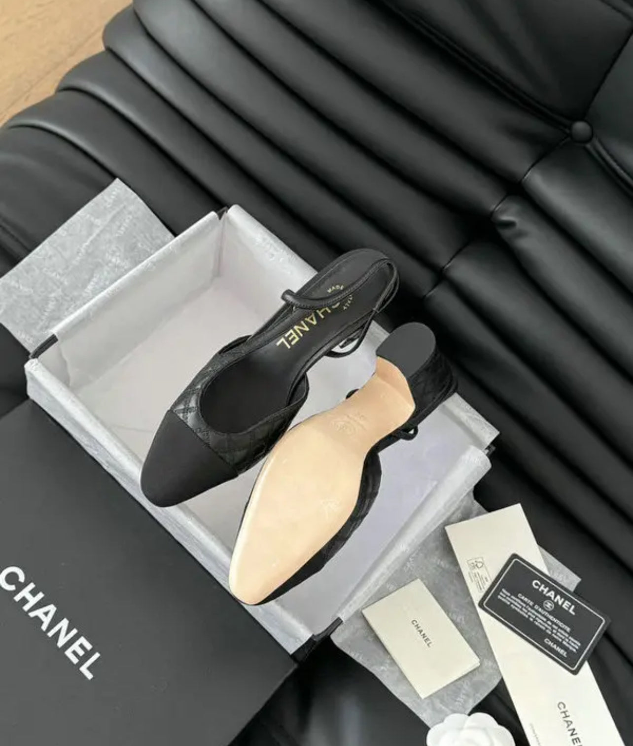CC Pumps