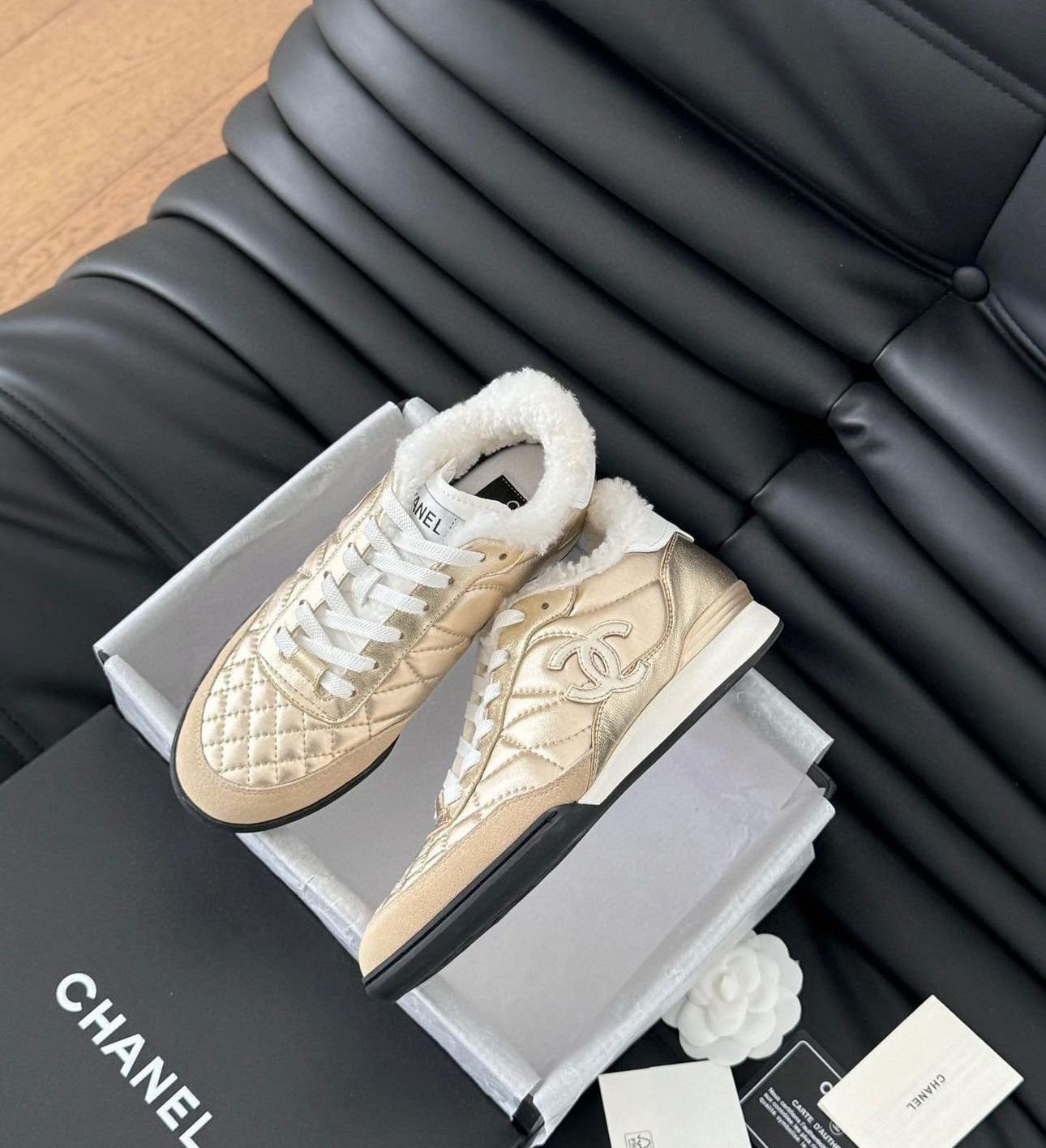 CC Trainers