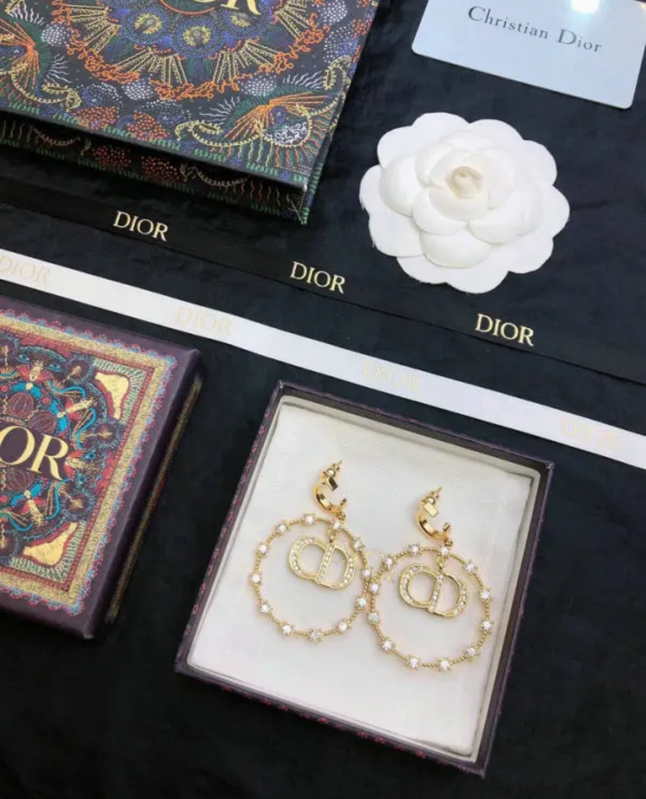 CD Earrings