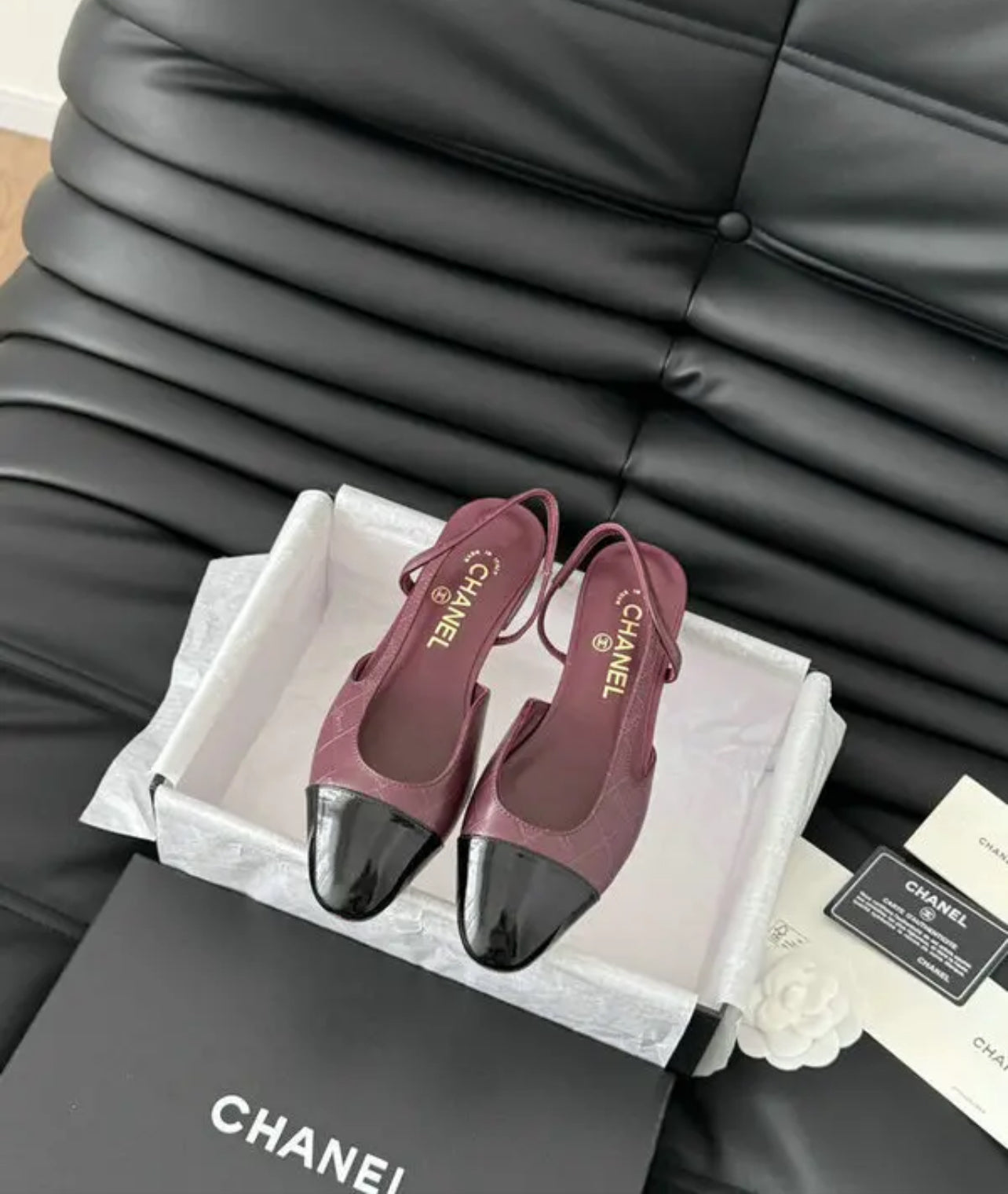 CC Pumps