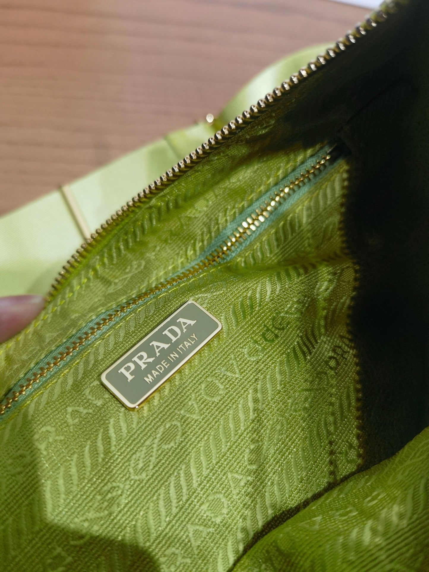 Demi Lune Re Nylon Bag