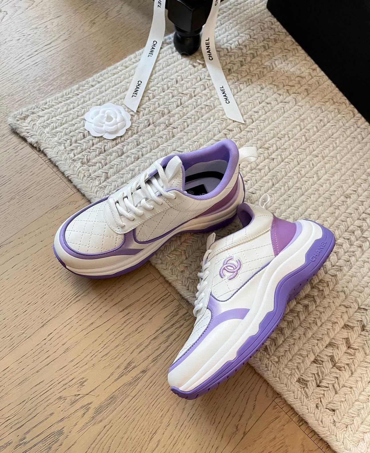 CC Trainers