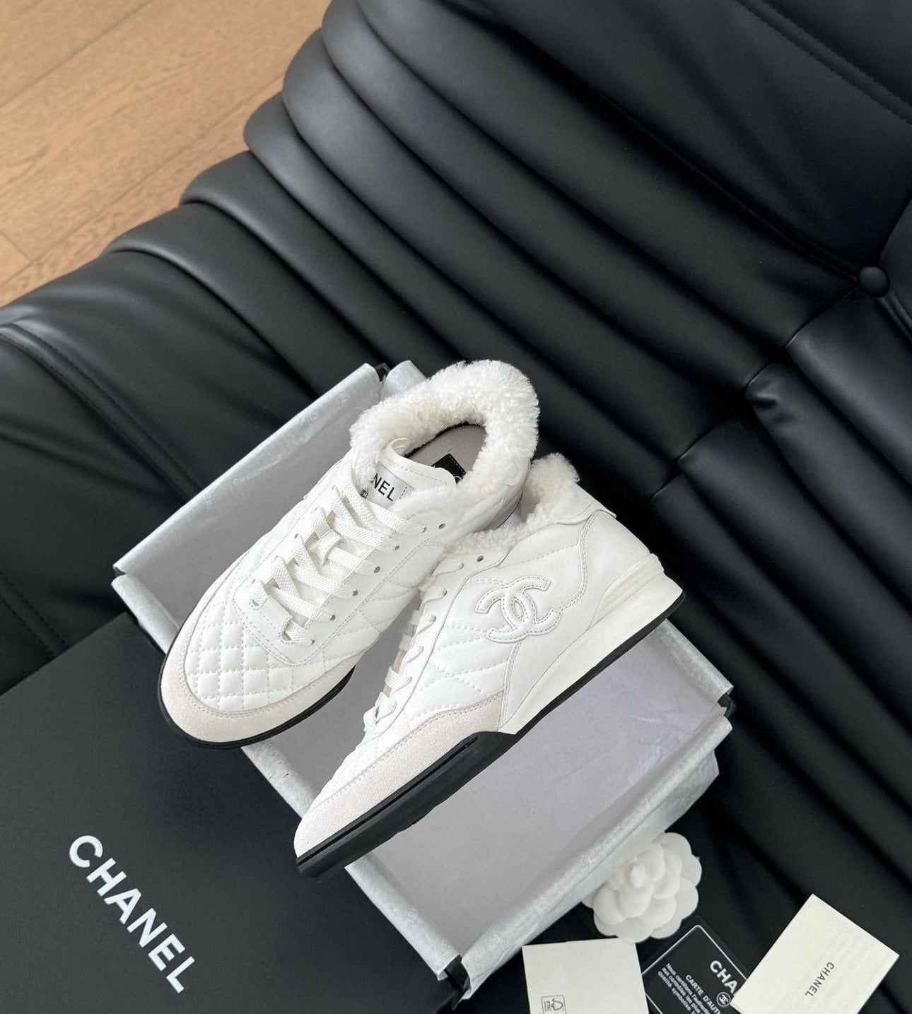 CC Trainers