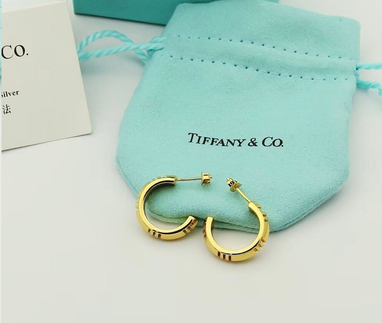 Hoop Earrings