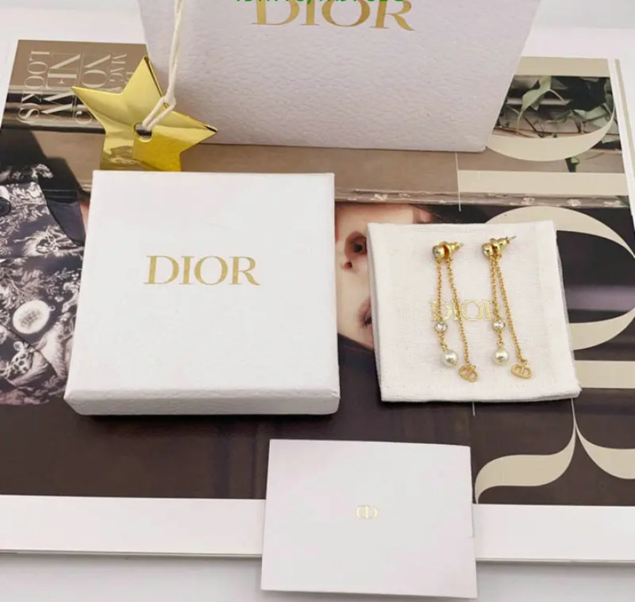 CD Earrings