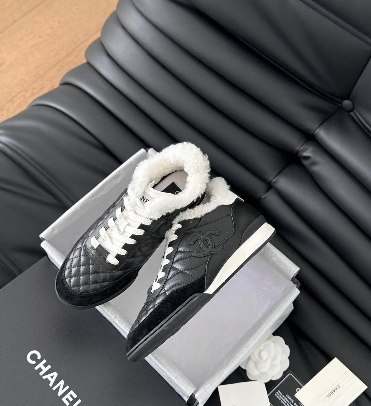 CC Trainers