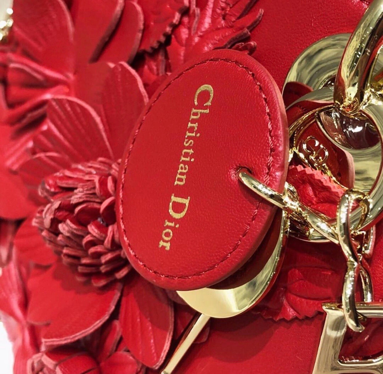 Lady Dior Embellished