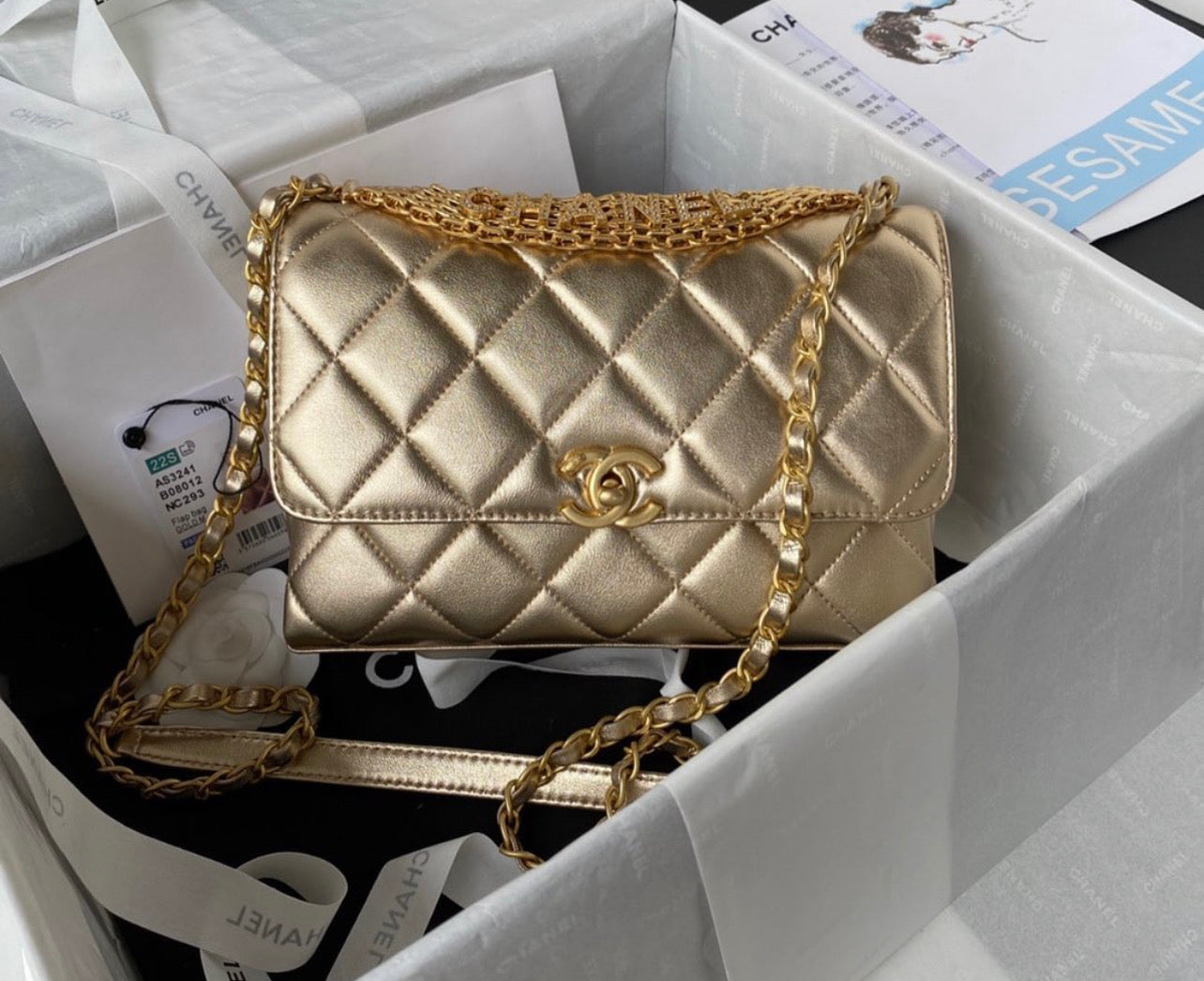 Small Flap Bag