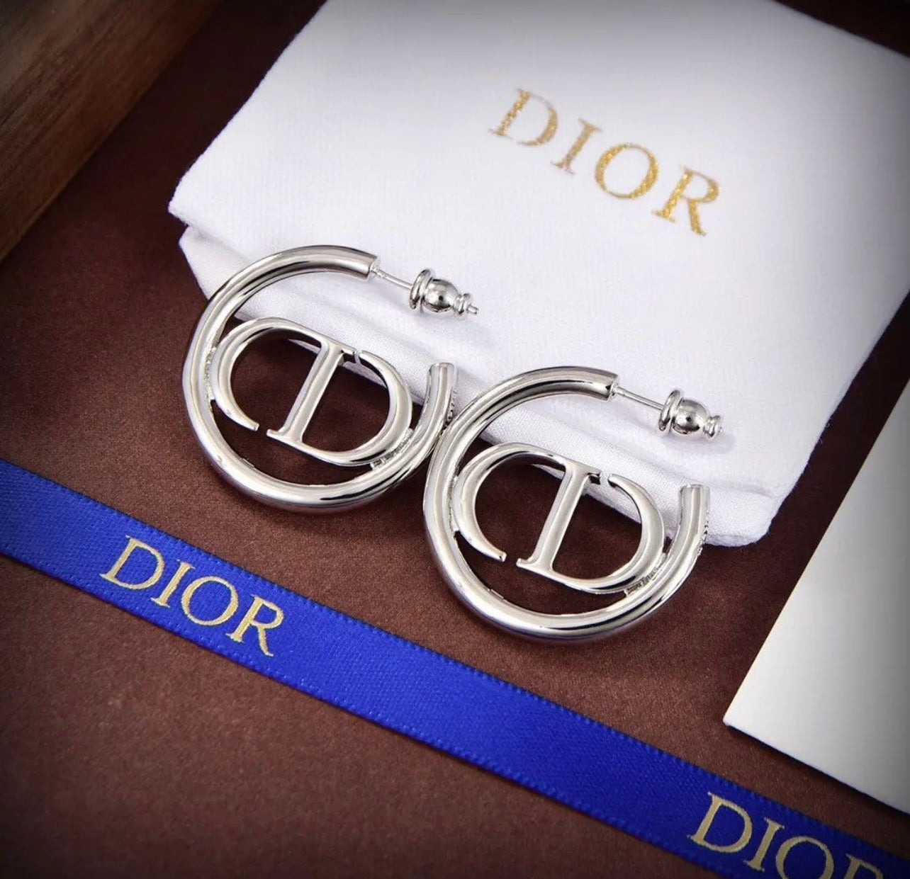 CD Hoop Earrings