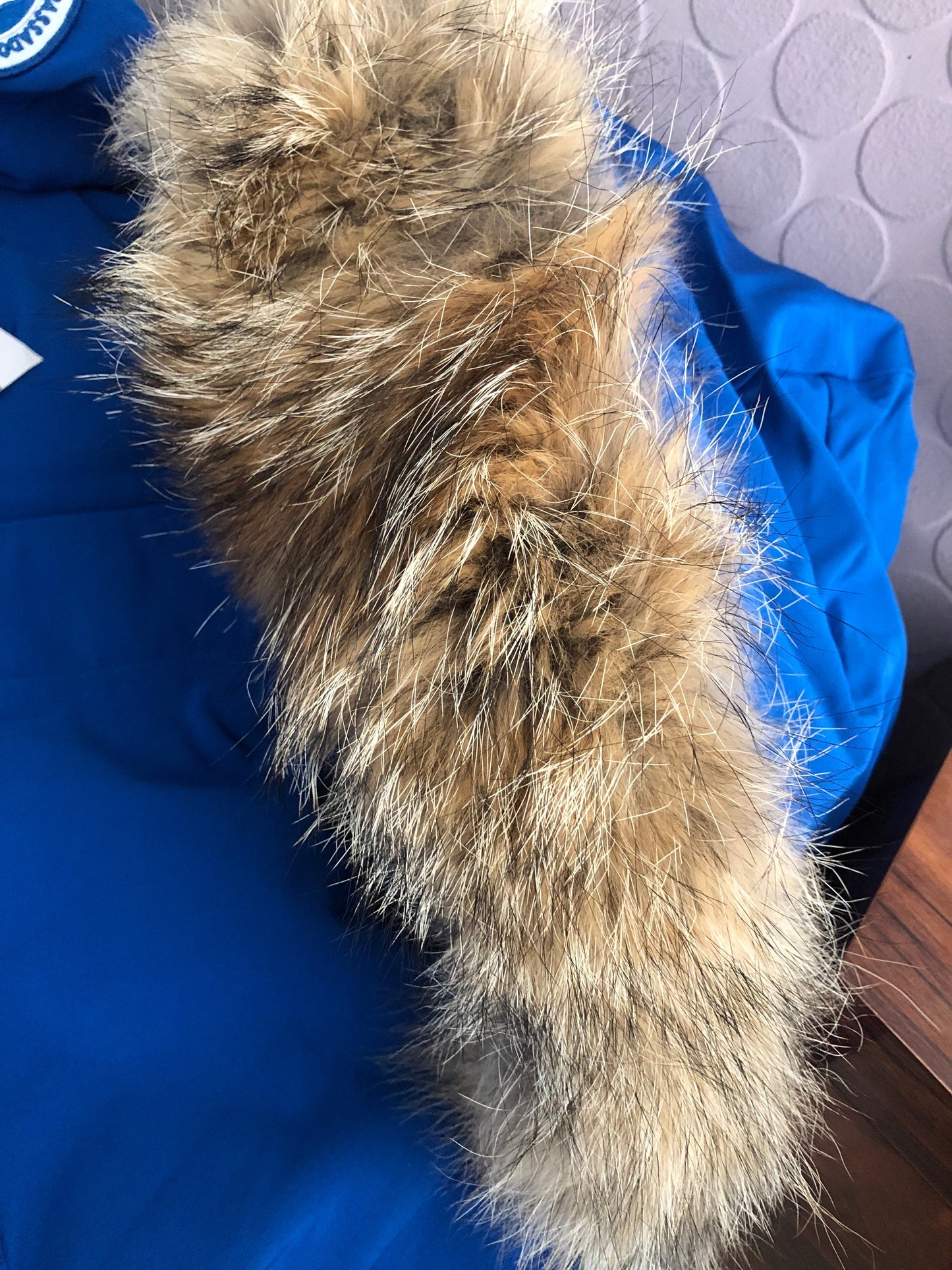 Expedition Parka