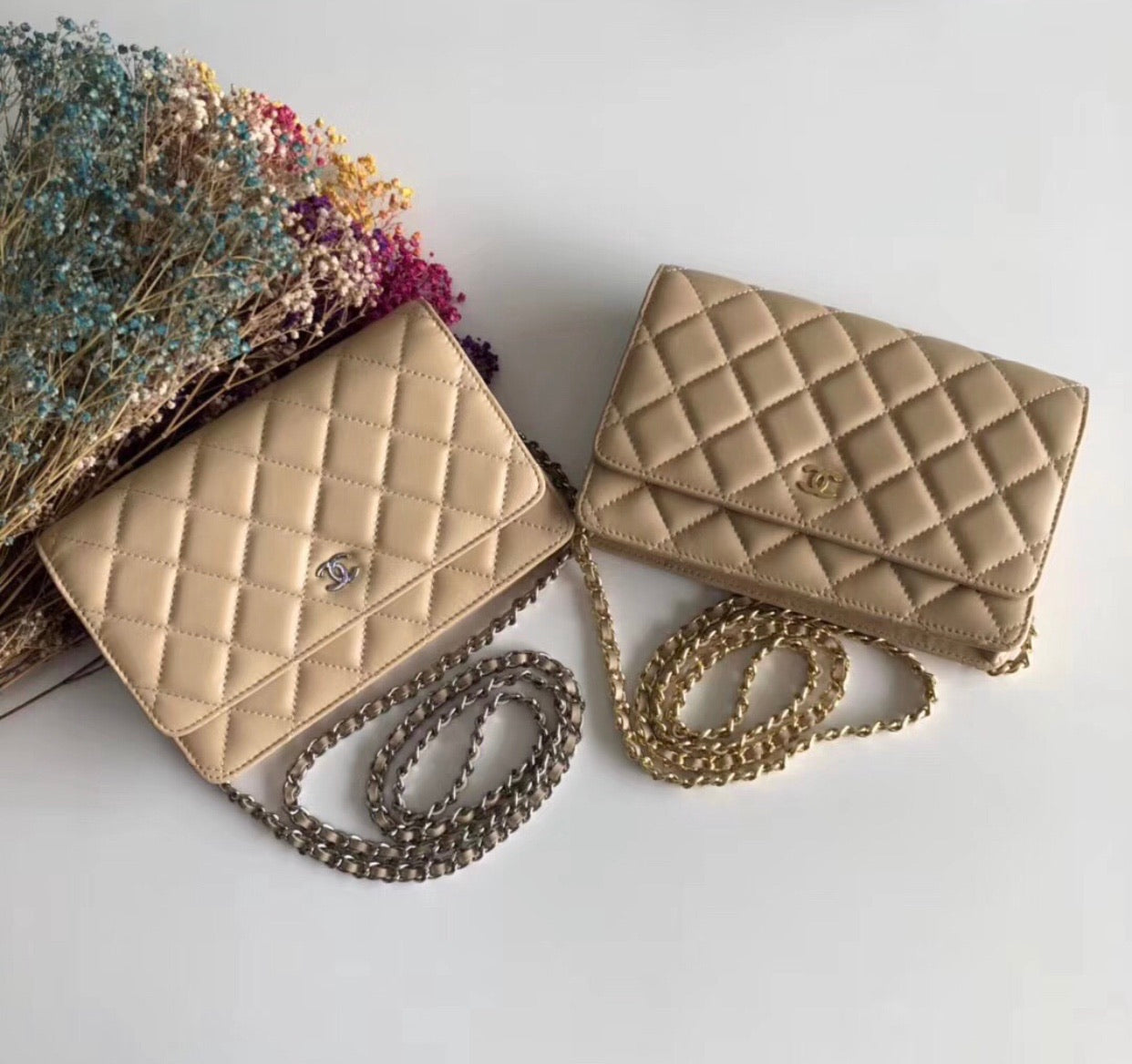 Lambskin Woc