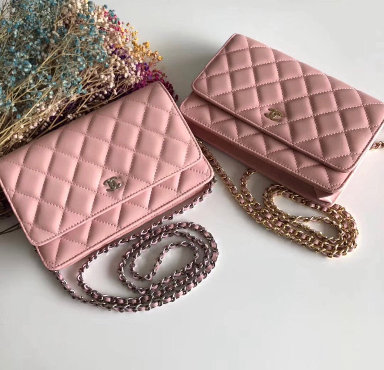 Lambskin Woc