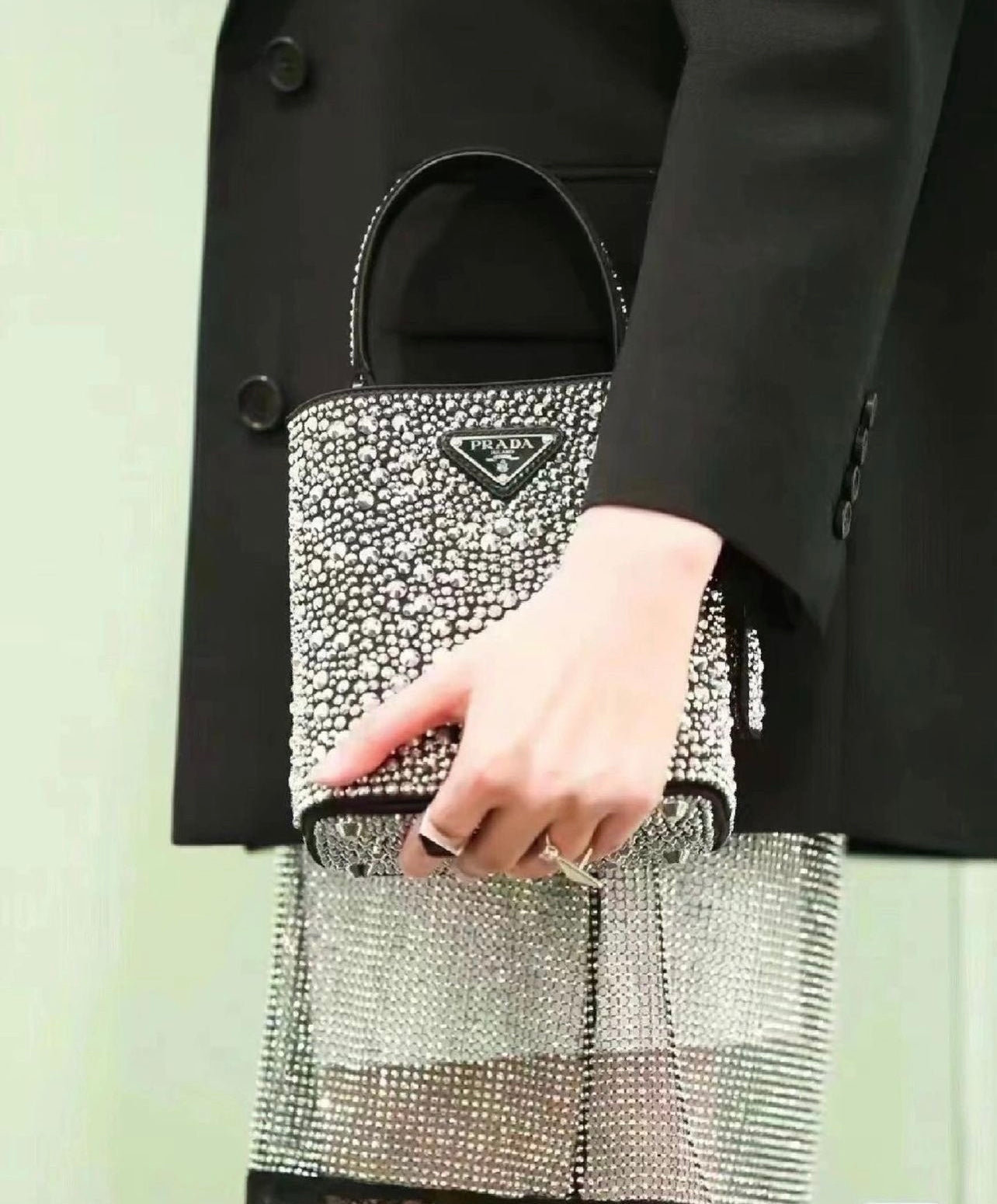 Panier Crystal Bag