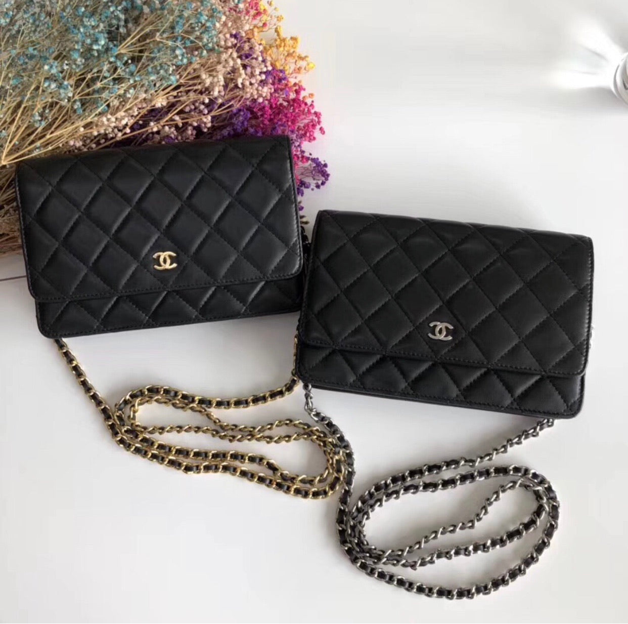 Lambskin Woc