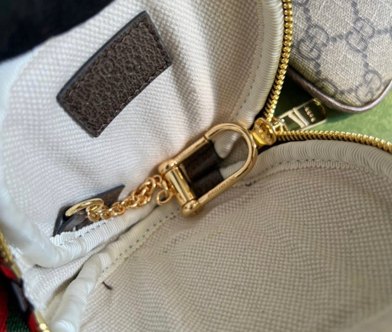 Ophidia Utility Belt