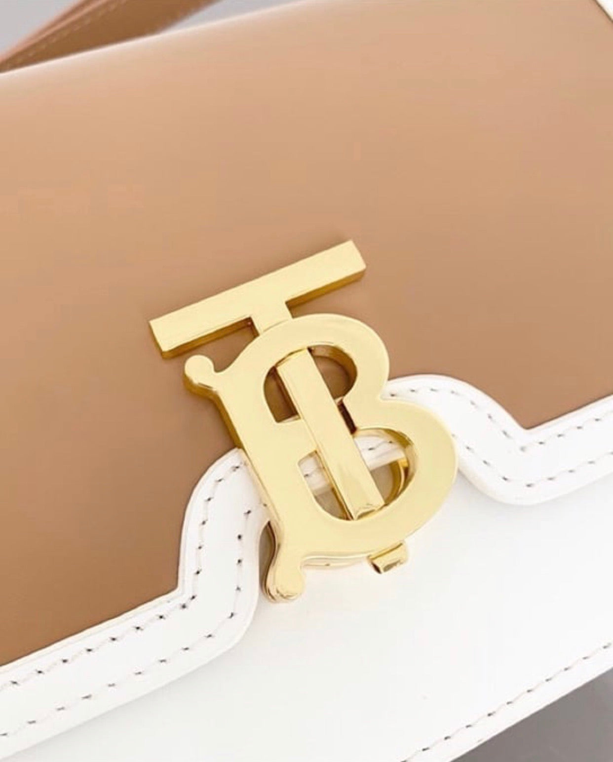 TB Leather Bag