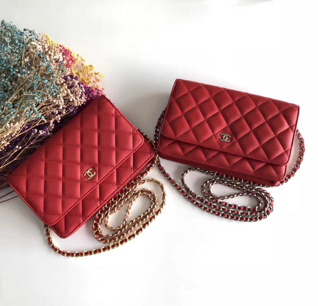 Lambskin Woc