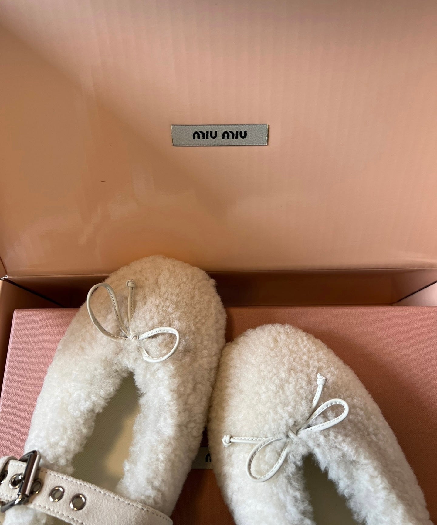 Shearling Ballerinas