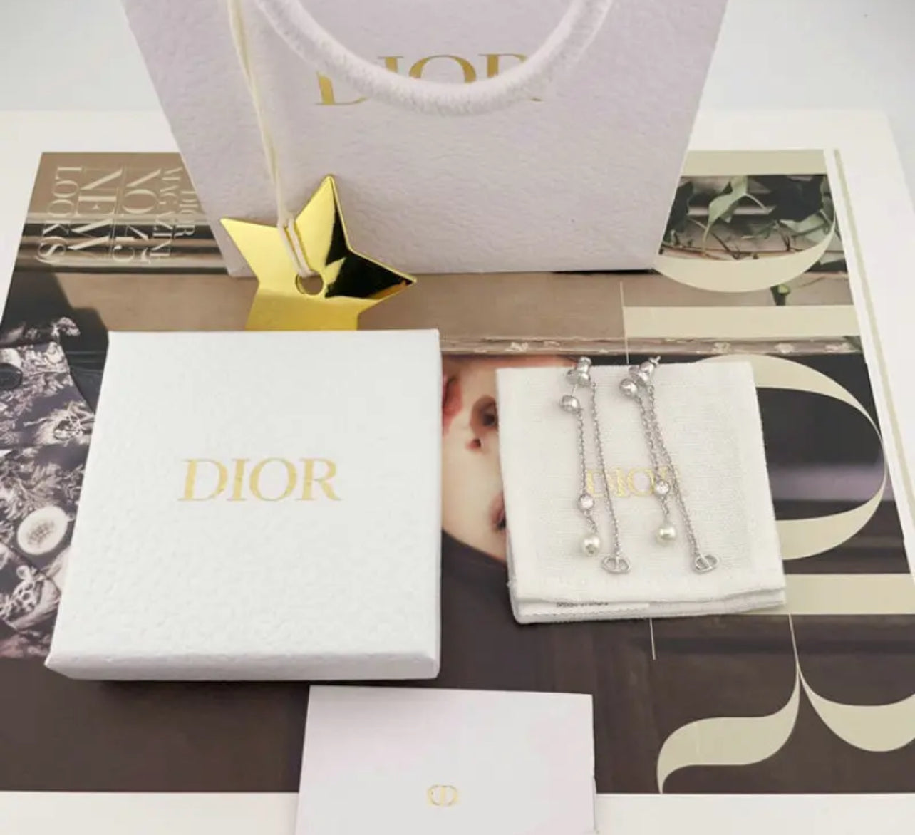 CD Earrings