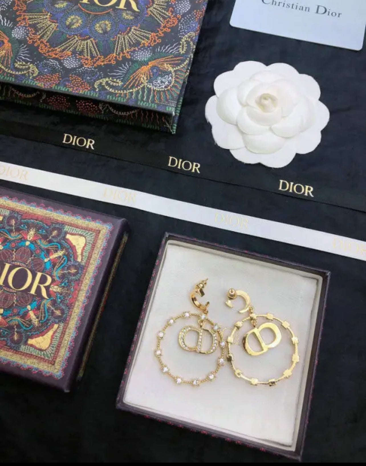CD Earrings