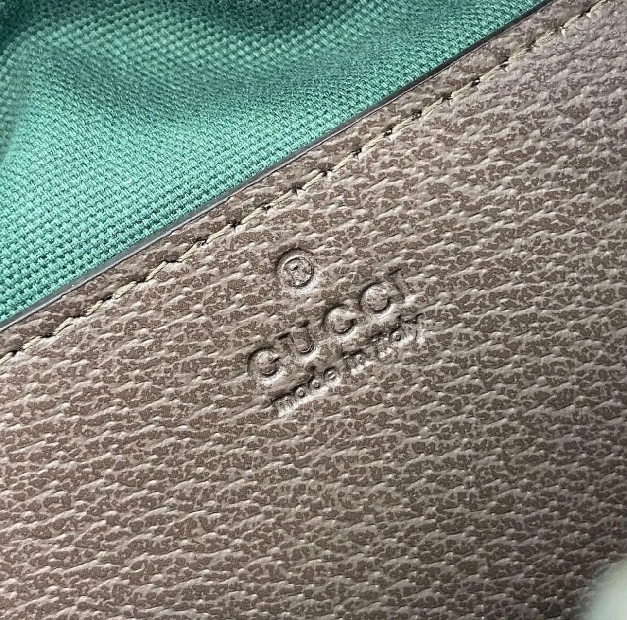 Ophidia Crossbody Bag