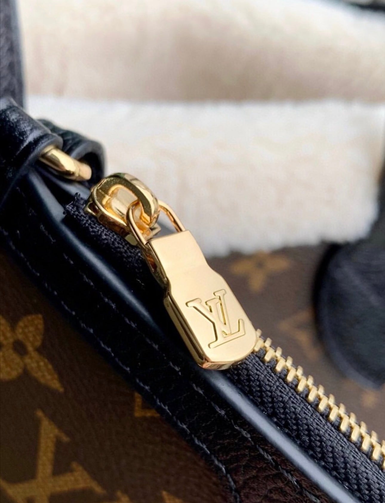 Neverfull Inside Out BB Teddy