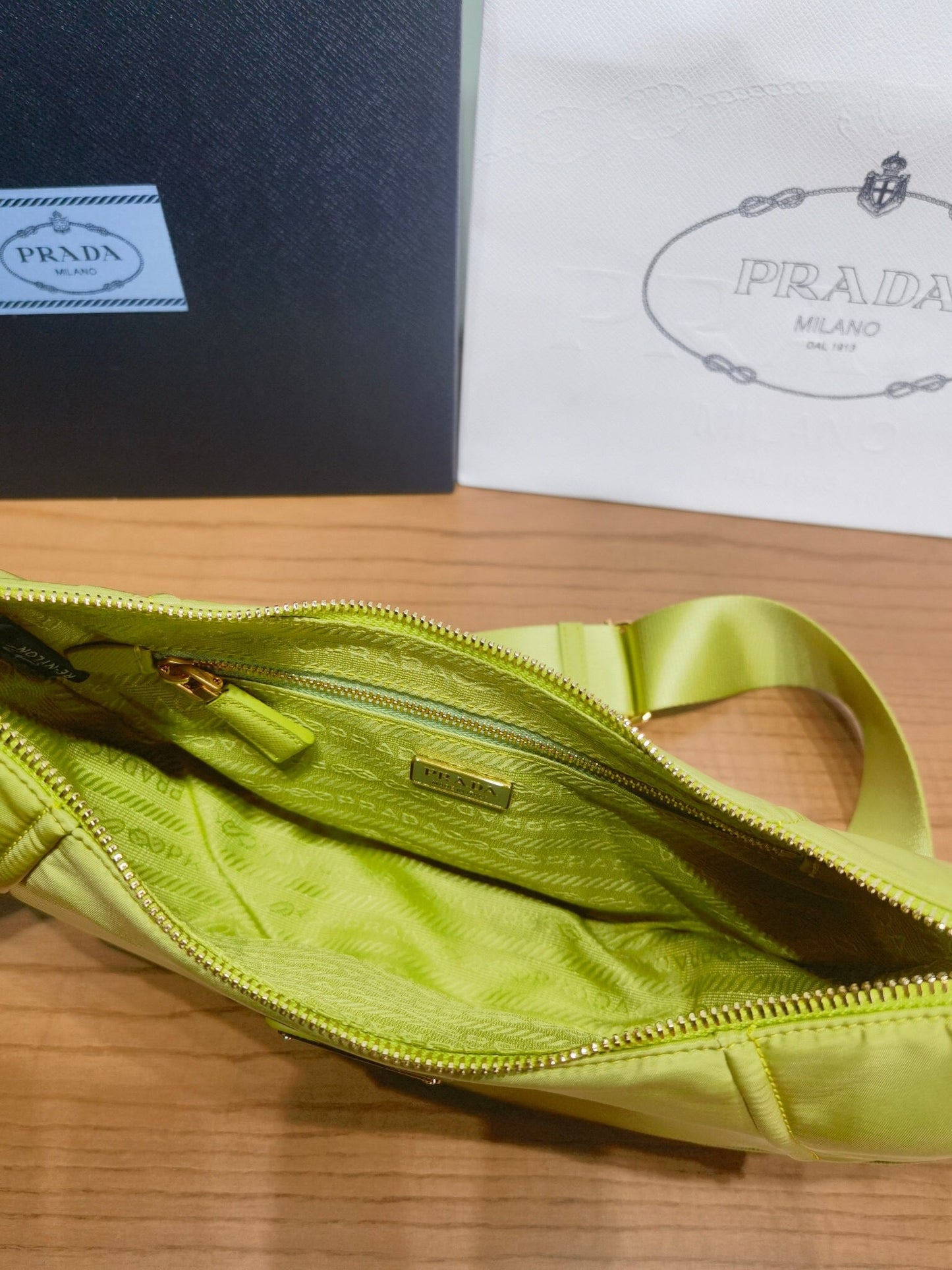 Demi Lune Re Nylon Bag