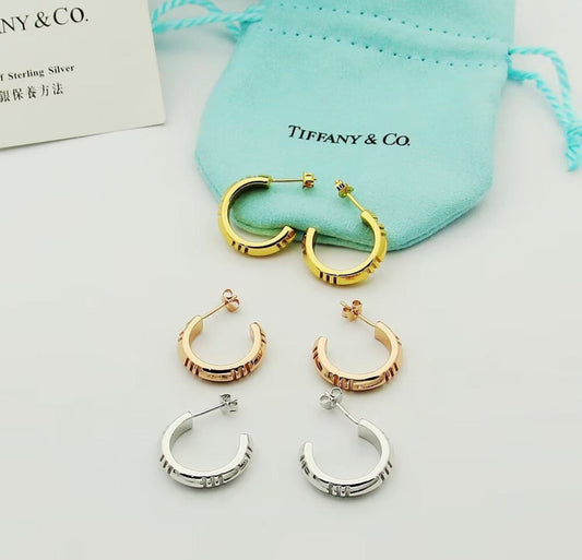Hoop Earrings