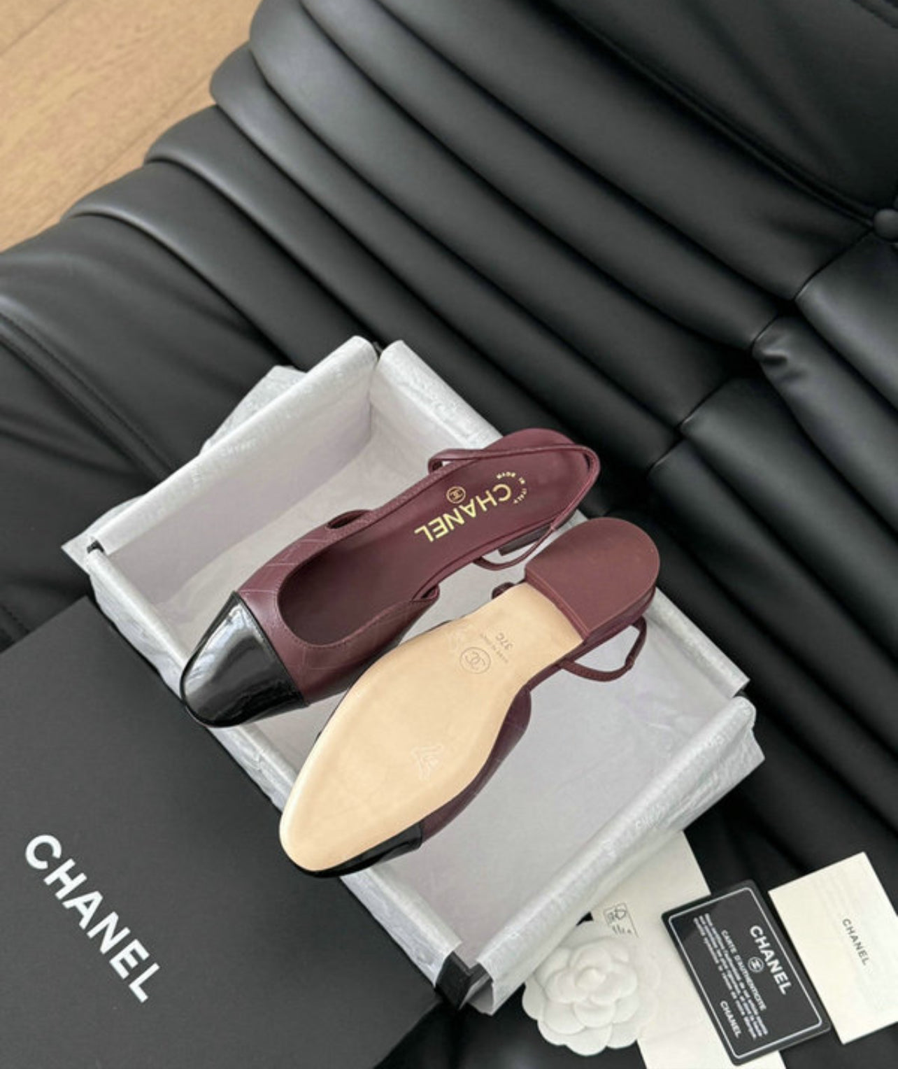 CC Pumps