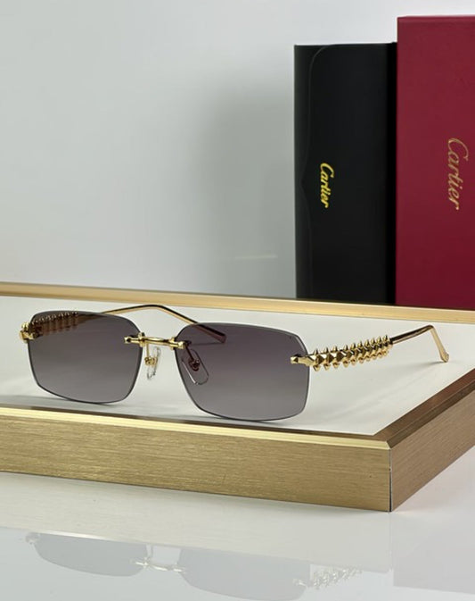 Logo Sunglasses