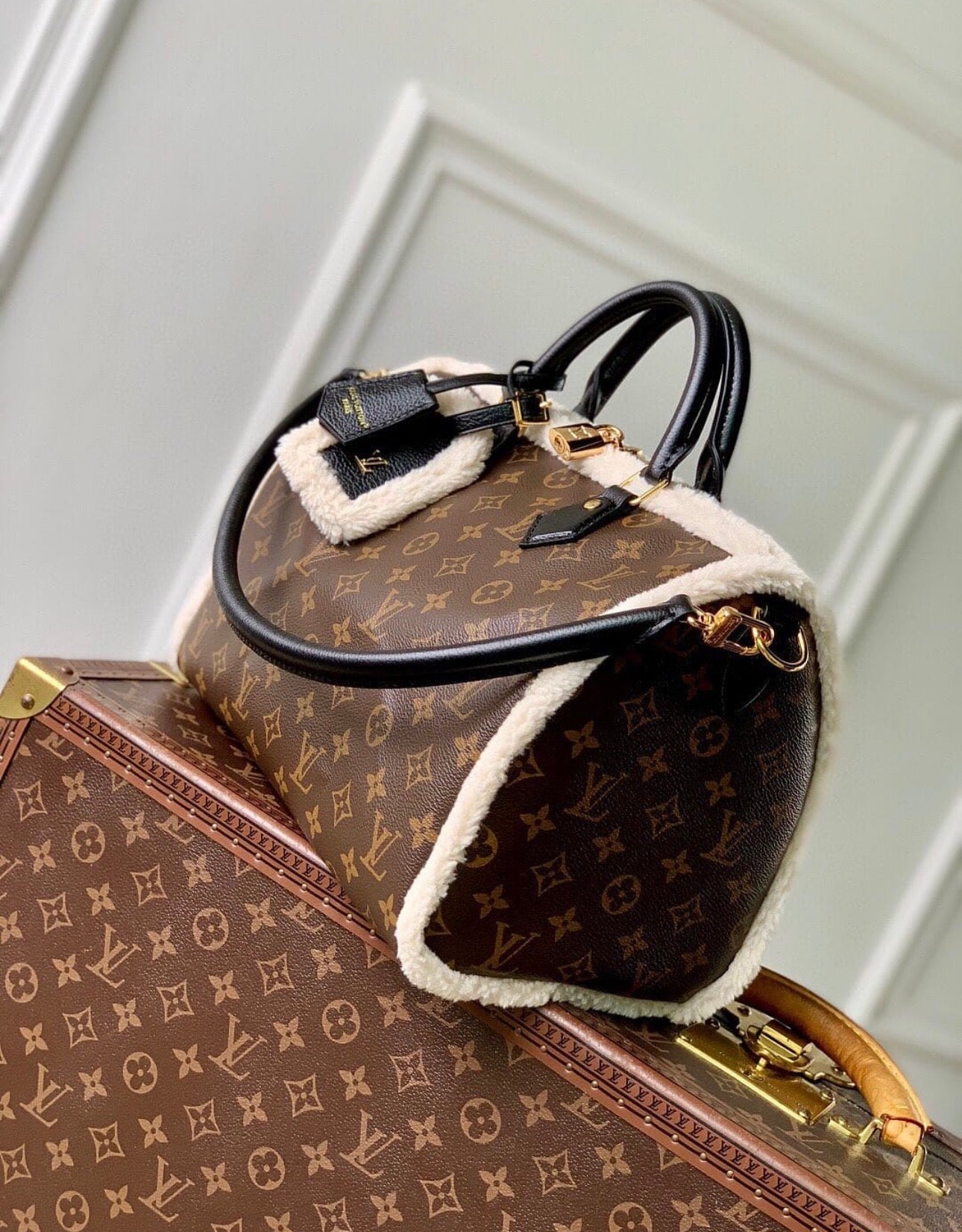 Speedy 30 Soft Teddy