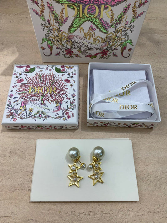 CD Earrings