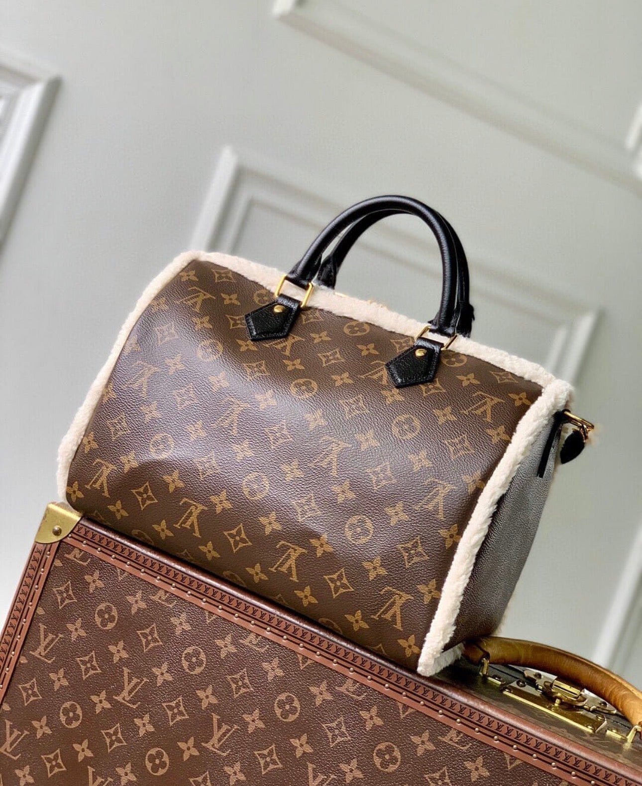 Speedy 30 Soft Teddy