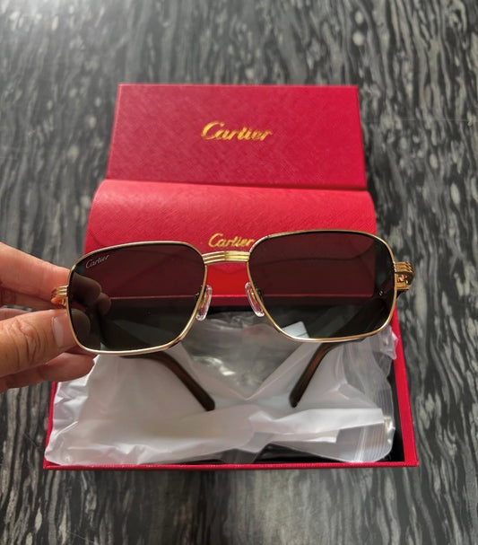 Logo Sunglasses
