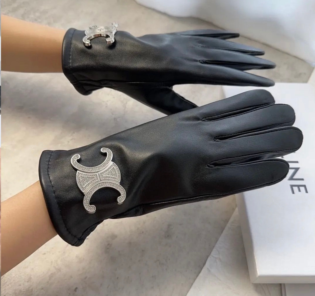 Triomphe Leather Gloves
