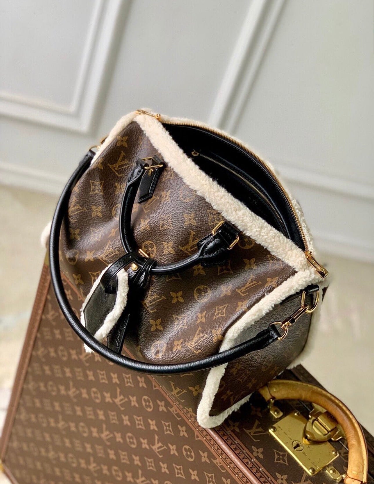 Speedy 30 Soft Teddy