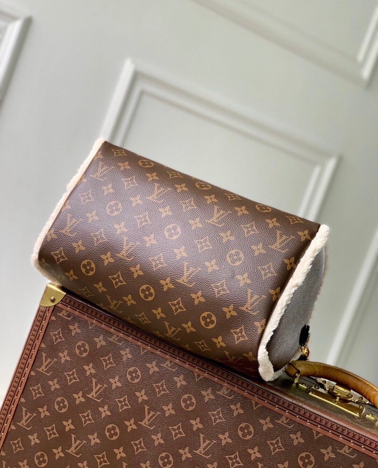 Speedy 30 Soft Teddy