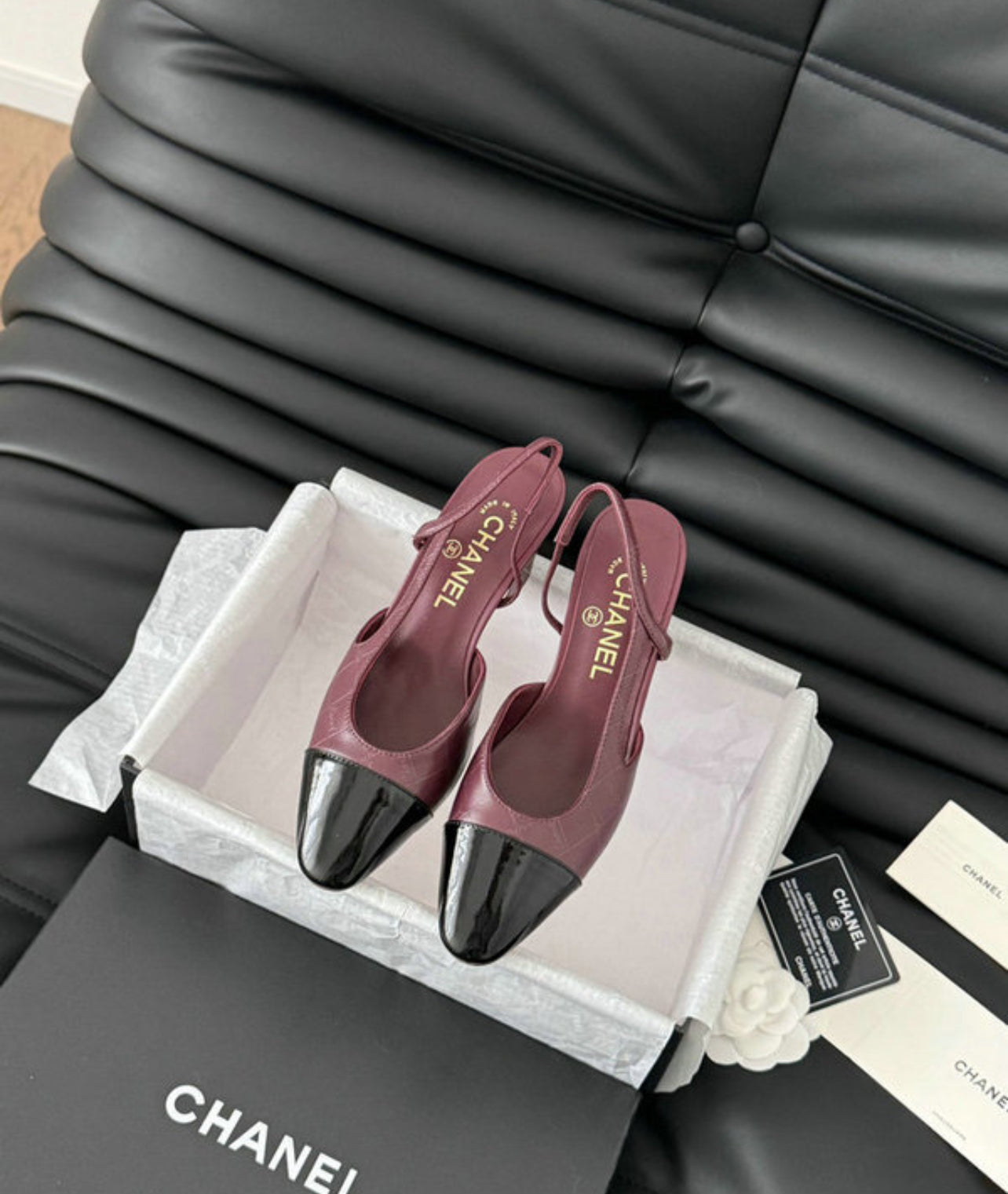 CC Pumps