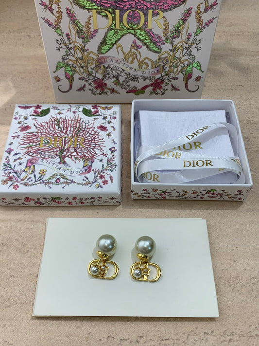 CD Earrings