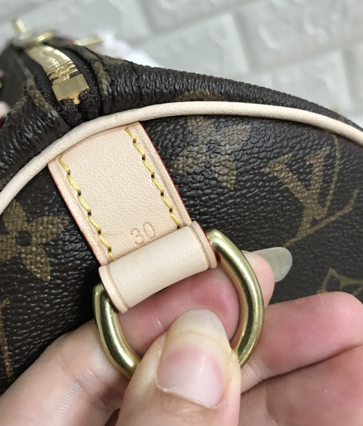 Speedy Monogram Canvas