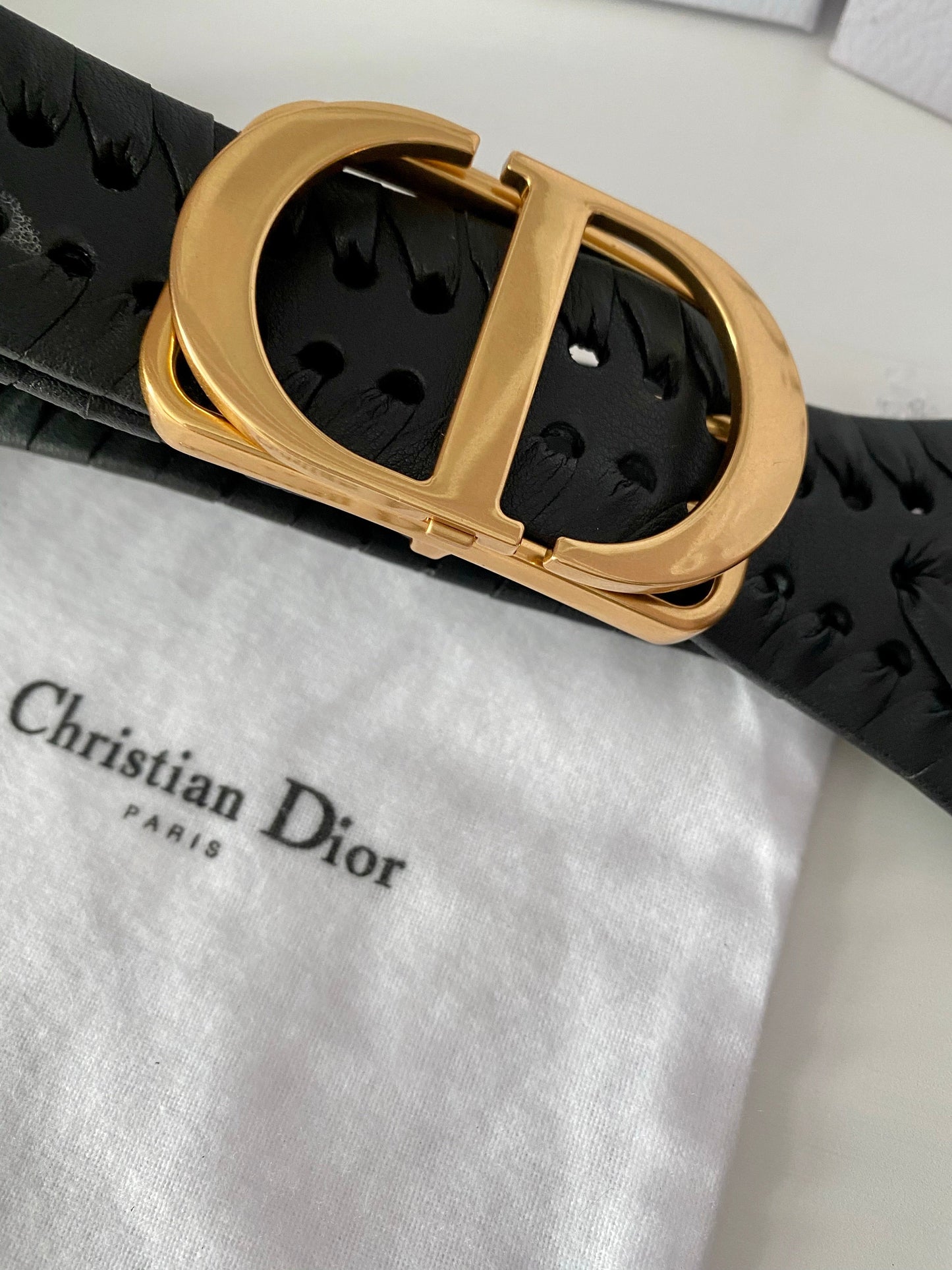 Montaigne Belt
