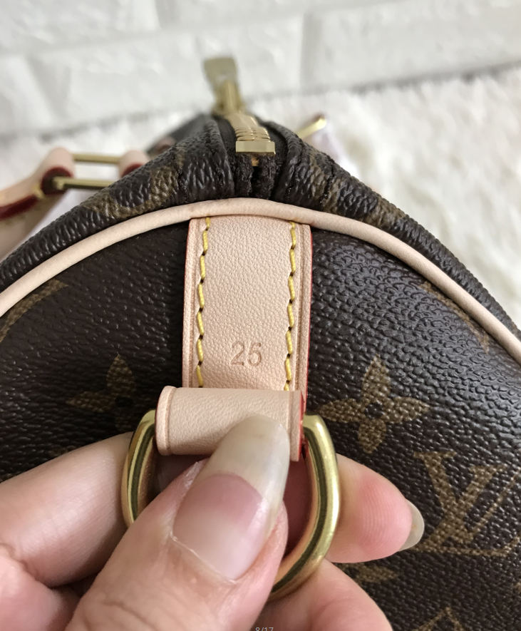 Speedy Monogram Canvas
