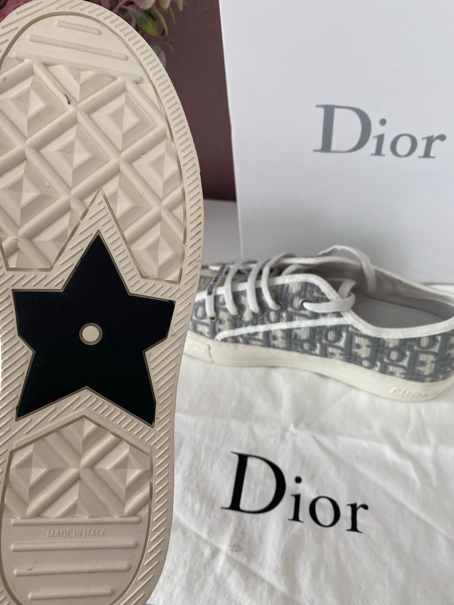 Walk N Dior