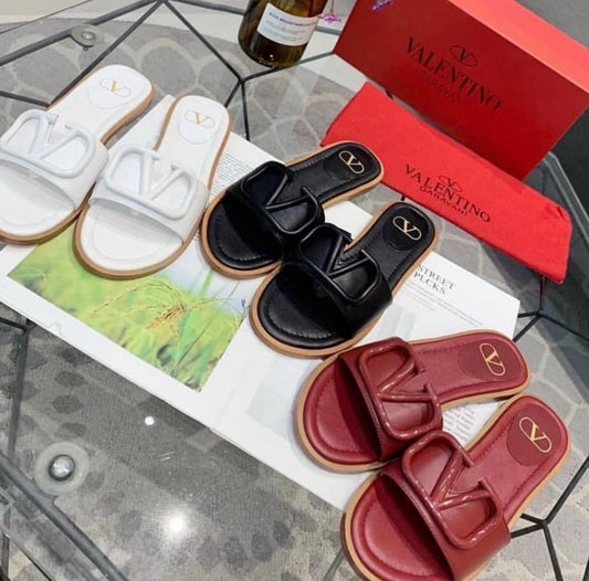 V Logo Slides