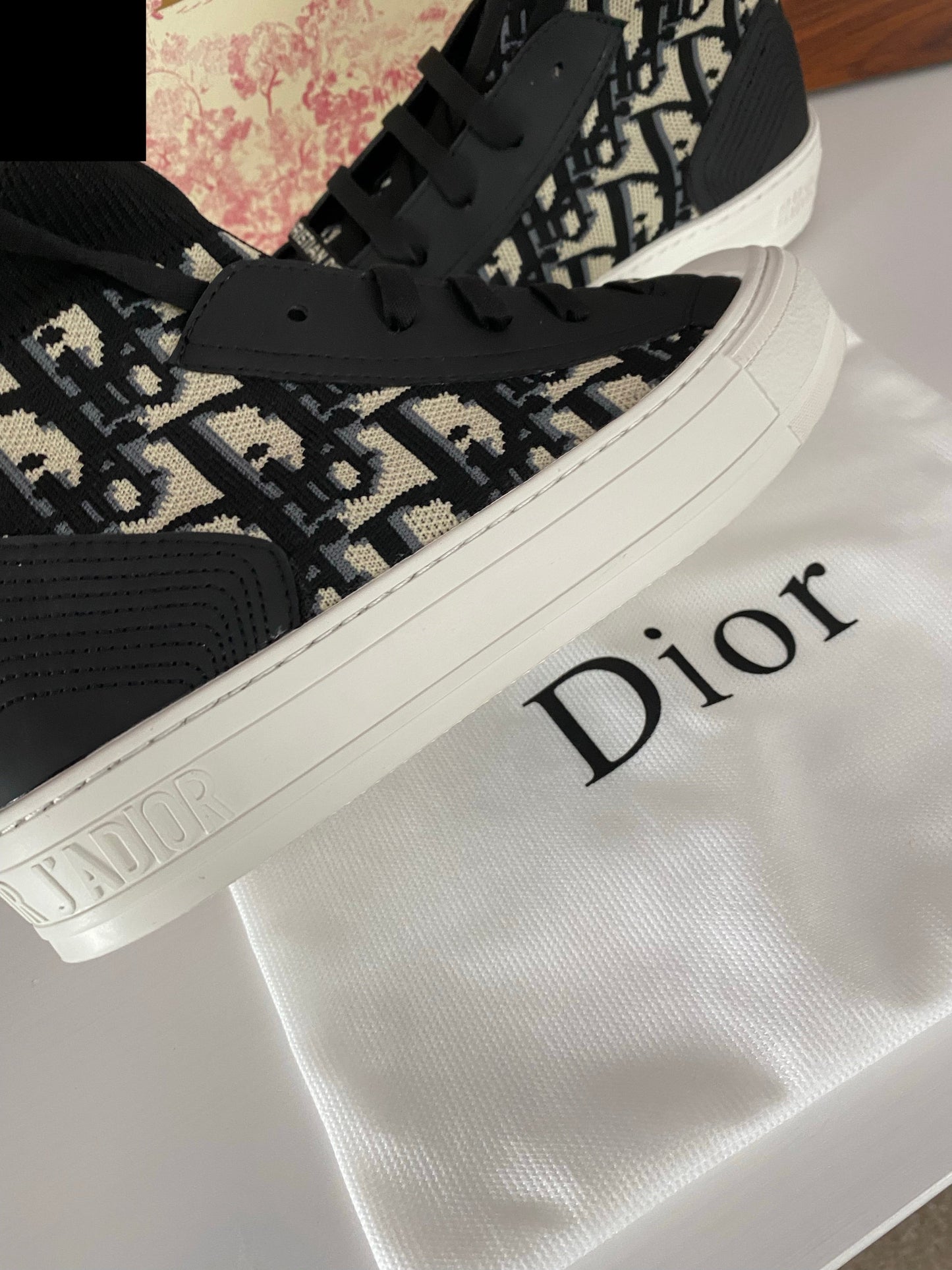 Walk n Dior Trainers