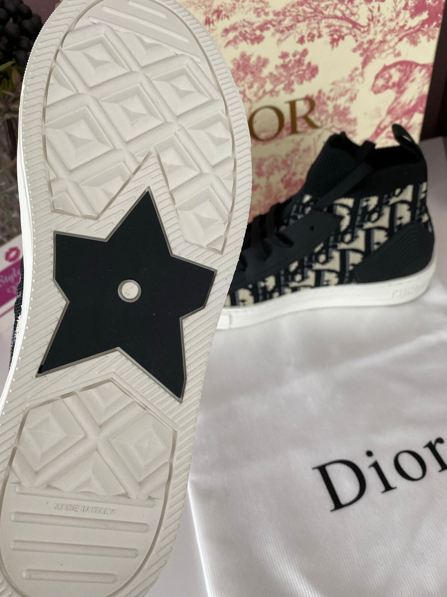 Walk n Dior Trainers